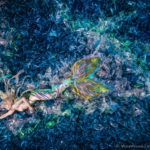 VonWong_PlasticMermaid-3_Plastic_Ocean