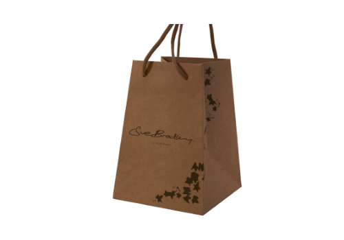 kraft shopping bag with cord handles | sac shopping kraft avec anses corde