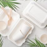 Eco-Friendly Food Boxes wodden fork with leaves grey background feat | Boîtes alimentaires écologiques fourchette en bois avec feuilles fond gris exploit