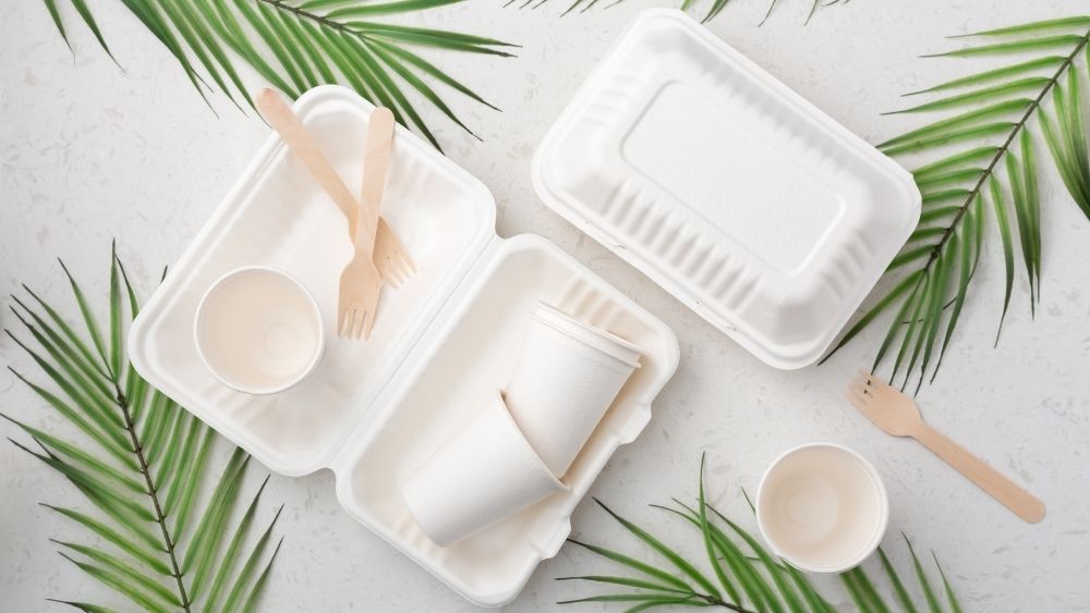 Eco-Friendly Food Boxes wodden fork with leaves grey background feat | Boîtes alimentaires écologiques fourchette en bois avec feuilles fond gris exploit